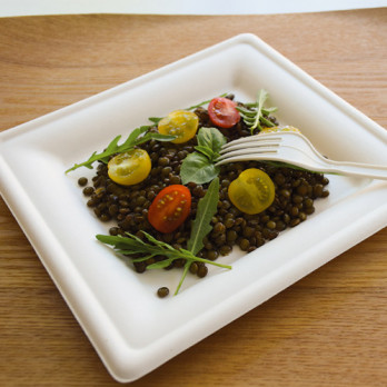 Plato cuadrado de fibra vegetal 20 x 20 cm