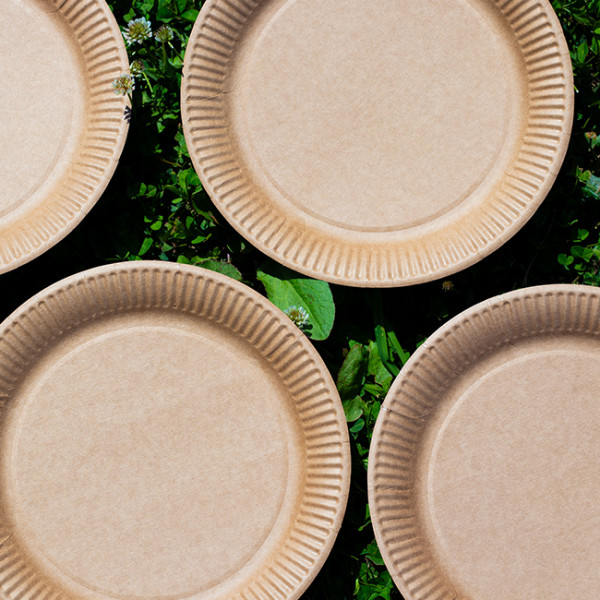 plato grande de papel kraft