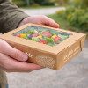 Cajas rectangulares de cartón personalizadas para ensaladas