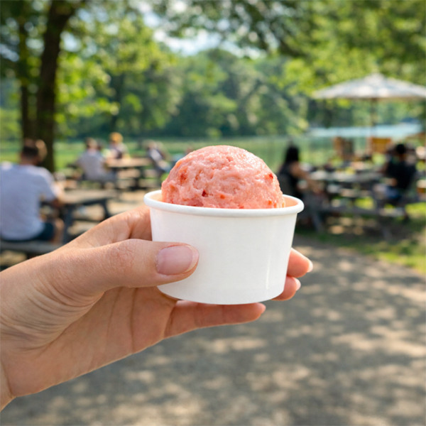 Tarrinas de helado de cartón blanco para heladerías 120 ml 1 bola
