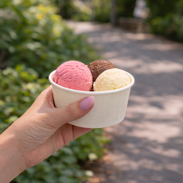Tarrina grande de cartón para las bolas de helado
