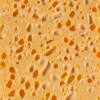 Esponja vegetal profesional amarilla thouy 21E006