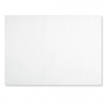 Mantel individual spunbond blanco 30 x 40 cm