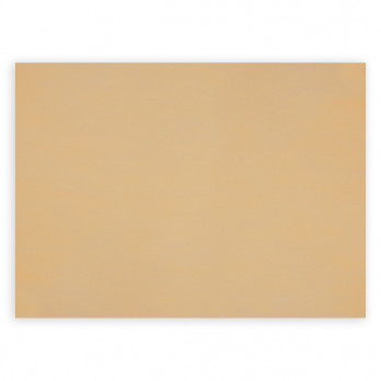 Mantel individual spunbond color marfil 30 x 40 cm