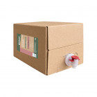 Detergente desincrustante enzimático sanitario Ecolabel bolsa en caja 5 L