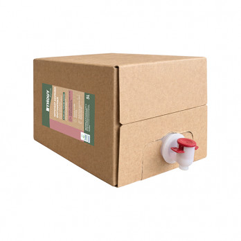 Detergente desincrustante enzimático sanitario Ecolabel bolsa en caja 5 L