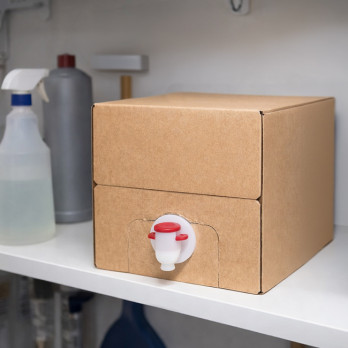 Ecolabel bag in box limpiacristales 5 L - PAE
