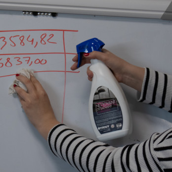 Spray quitamanchas y desengrasante multisuperficies 750 ml