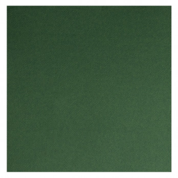 Servilleta de papel doble punto verde abeto 40 x 40