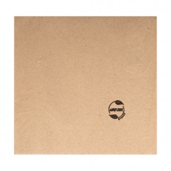 Servilletas de papel de guata kraft de 2 capas 30 x 30