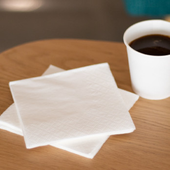 Servilletas de papel blancas de 2 capas 20 x 20