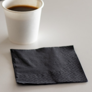 Servilletas de papel negra de 2 capas 20 x 20