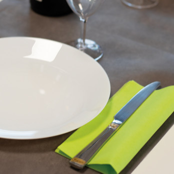 Servilletas de papel doble punto verde anís 40 x 40