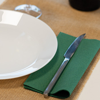 Servilleta de papel doble punto verde abeto 40 x 40